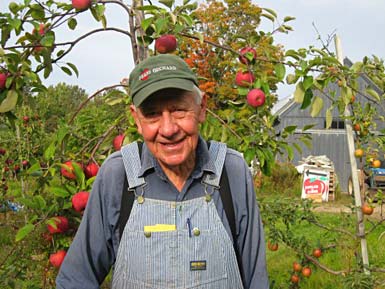 Second generation Bob Pease with ripe Ida Reds.